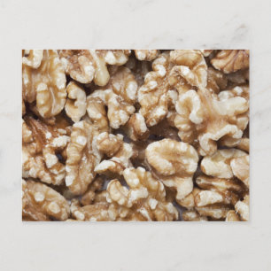 Shelled Walnuts Postcard