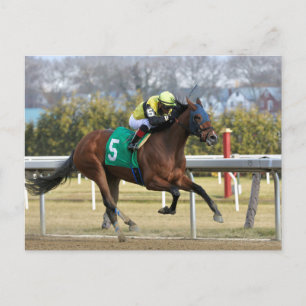 Shelley Ann Postcard