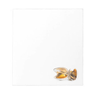 Shellfish Notepad