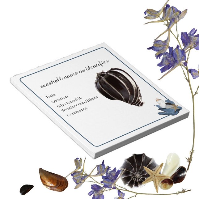 Shelling collecting seashell label organization notepad (Creator Uploaded)