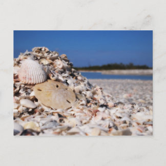 Shelling Postcard