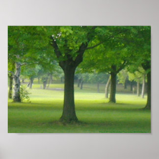 Shellis Canvas Print, Unframed "The Magic Forest" Poster