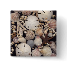 Shells