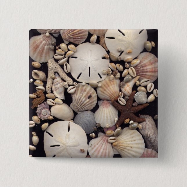 Shells 2 Inch Square Button (Front)