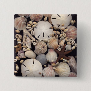 Shells 2 Inch Square Button