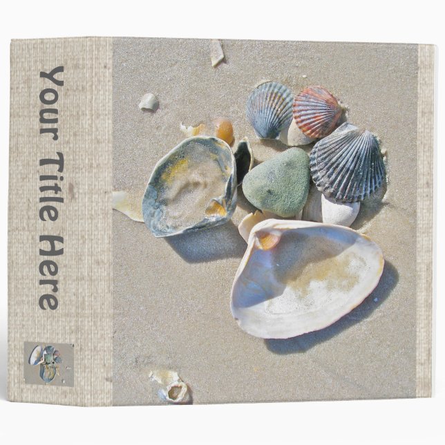 Shells at Low Tide Binder (Front/Spine)