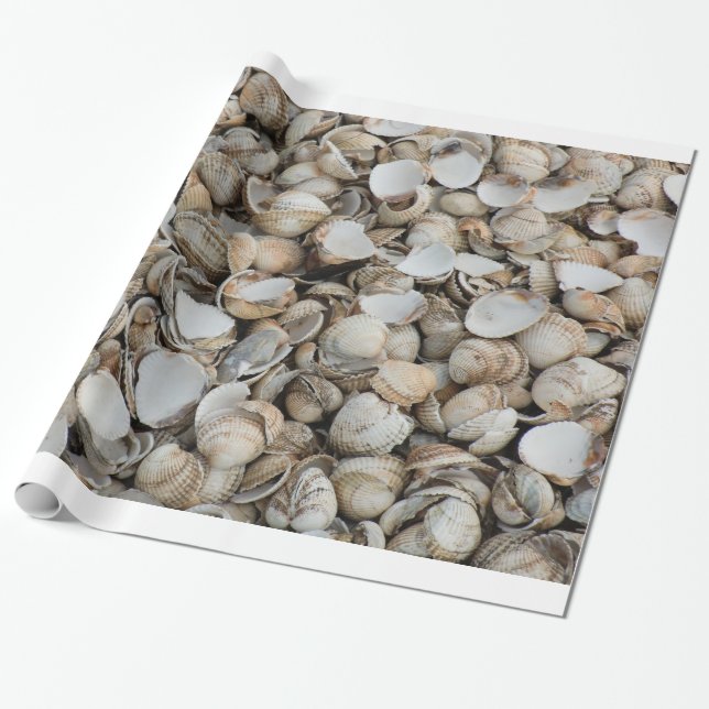 Shells background wrapping paper (Unrolled)