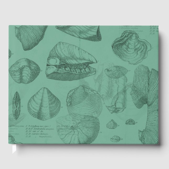 shells green mare collection guest book (Front)