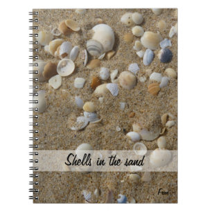 shells in the sand notebook