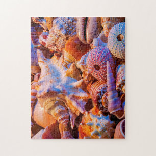 Shells Jigsaw Puzzle