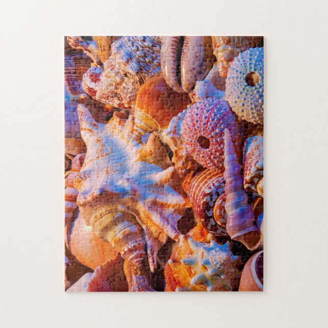 Shells Jigsaw Puzzle (Vertical)