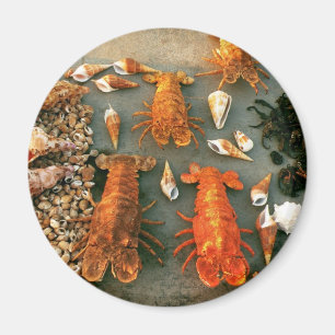 Shells Magnet