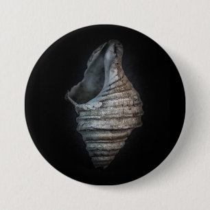 Shells No 6 Colour Version 3 Inch Round Button
