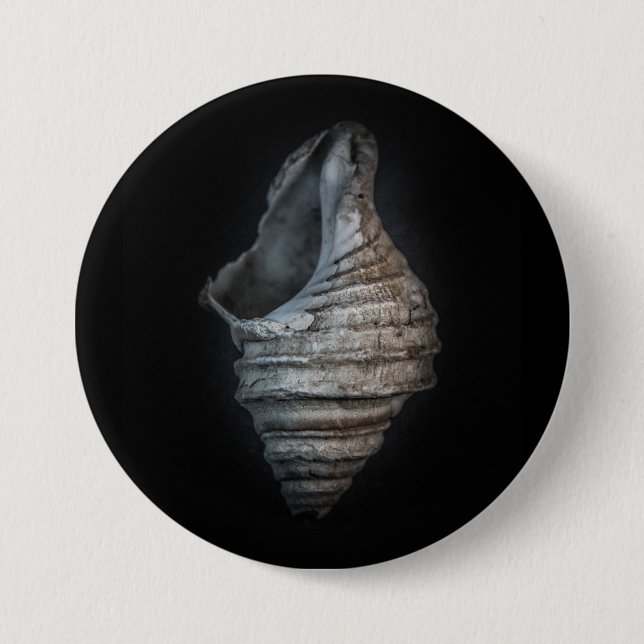 Shells No 6 Colour Version 3 Inch Round Button (Front)