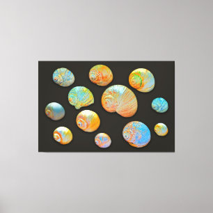 SHELLS of NEPTUNE 40x60 Canvas Print