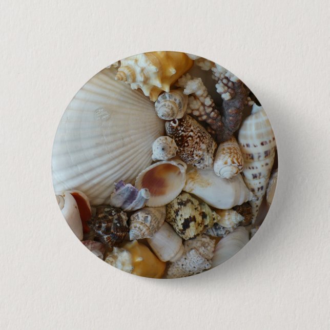 Shells Of Sanibel 2 Inch Round Button (Front)
