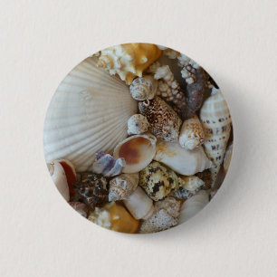 Shells Of Sanibel 2 Inch Round Button