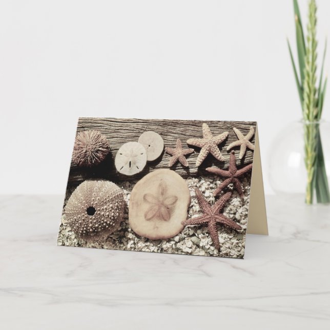 Shells of Sanibel & Captiva Card (Front)