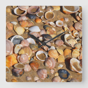 Shells On A Sandy Beach   Andalusia, Spain Square Wall Clock