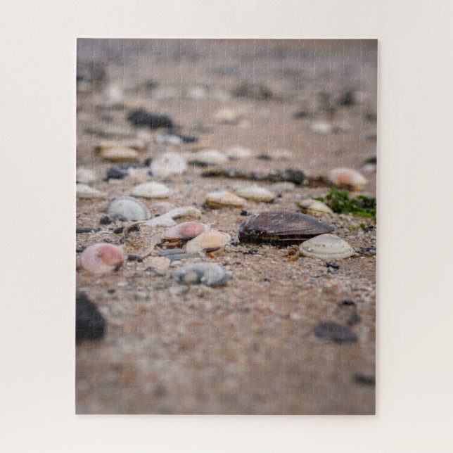 Shells on the beach puzzle (Vertical)