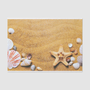 Shells on the beach tissue paper
