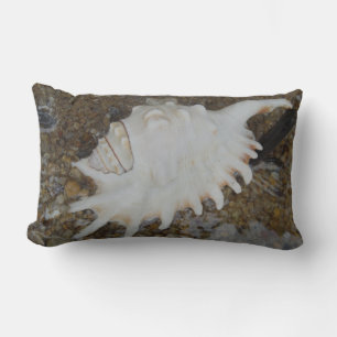 shells pillow