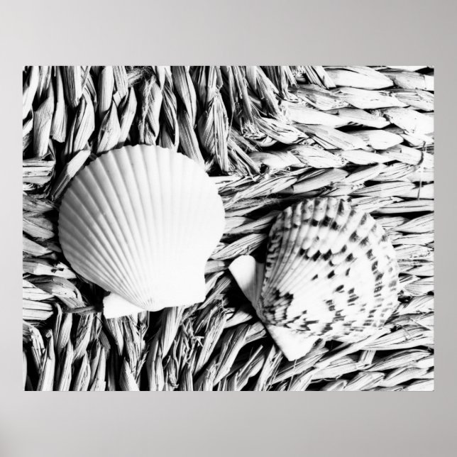 Shells Poster (Front)