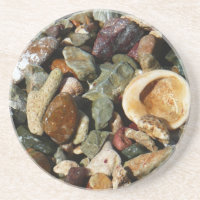 Shells, Rocks and Coral Nature Photography