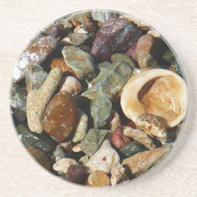 Shells, Rocks and Coral Nature Photography Coaster (Front)