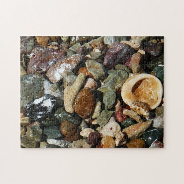 Shells, Rocks and Coral Nature Photography Jigsaw Puzzle (Horizontal)