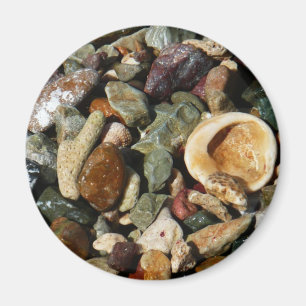 Shells, Rocks and Coral Nature Photography Magnet