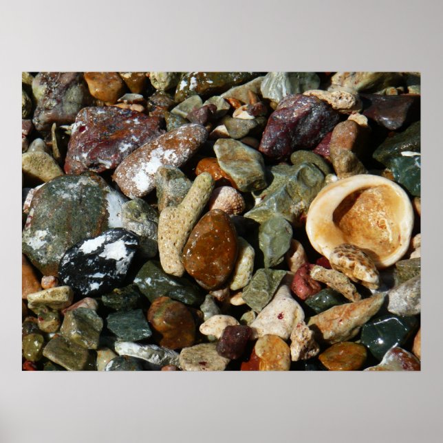 Shells, Rocks and Coral Nature Photography Poster (Front)