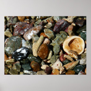 Shells, Rocks and Coral Nature Photography Poster