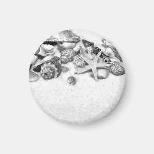 Shells & Starfish Magnet
