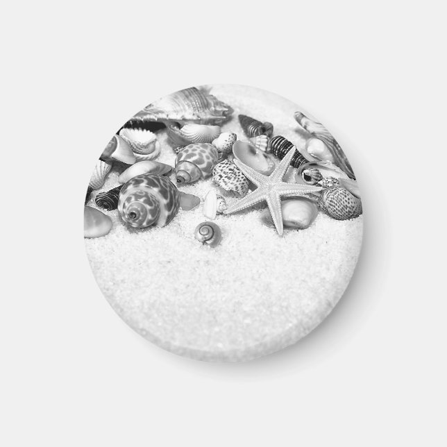 Shells & Starfish Magnet (Front)