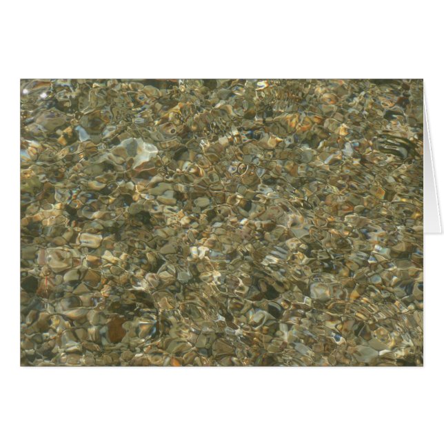 Shells Under Rippling Water (Front Horizontal)