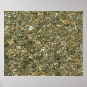 Shells Under Rippling Water Poster