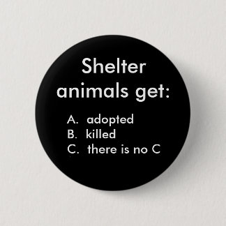 Shelter animals get:, A.  adoptedB.  kille... 2 Inch Round Button