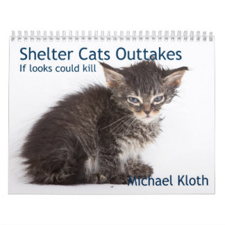 Shelter Cats Outtakes Calendar