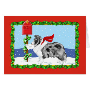 Shelter Christmas Mail Bi Blue