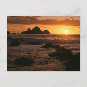 Shelter Cove Postcard