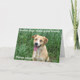Shelter dogs make great friends 7703 card