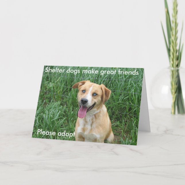 Shelter dogs make great friends 7703 card (Front)