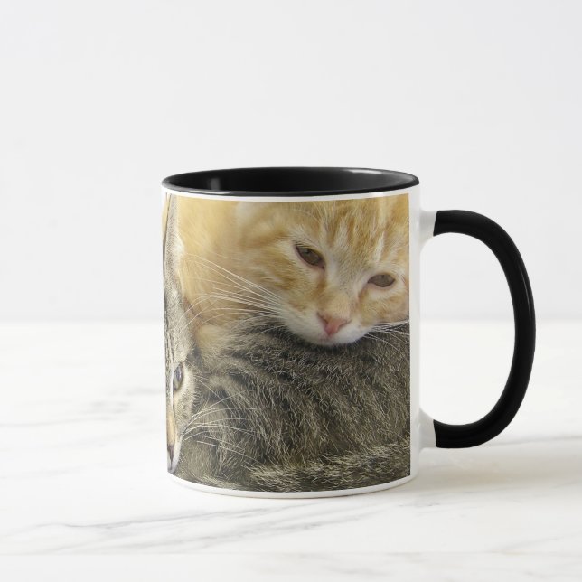 Shelter Kittens Mug (Right)