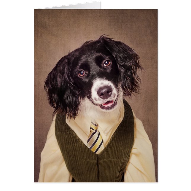 Shelter Pets Project - Cannonball (Front)