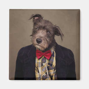 Shelter Pets Project - Ombré Magnet