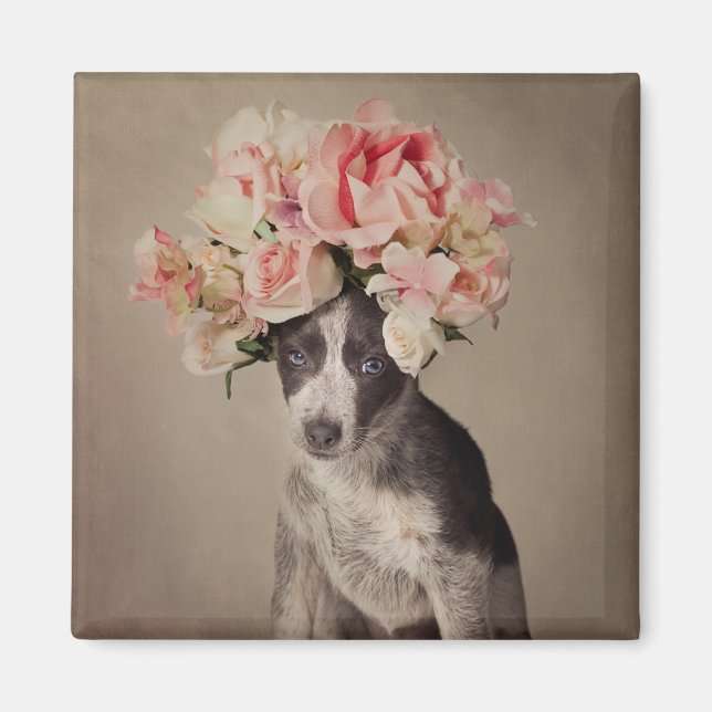 shelter Pets Project - Opal Magnet (Front)