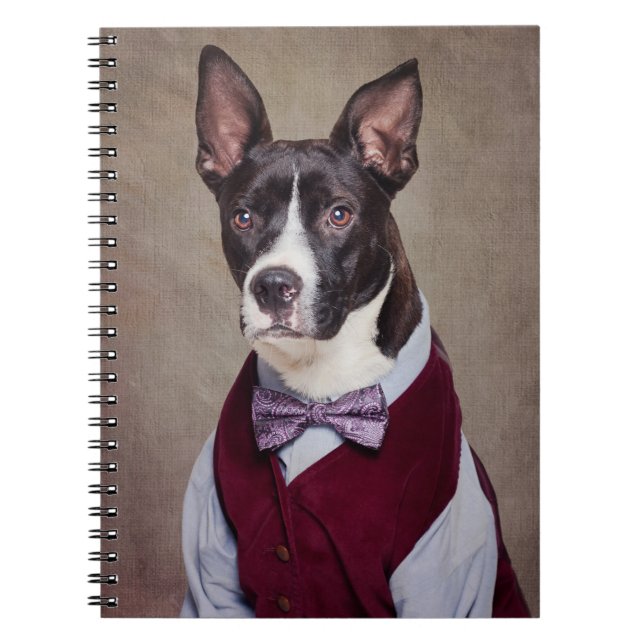 Shelter Pets Project - Petey Notebook (Front)