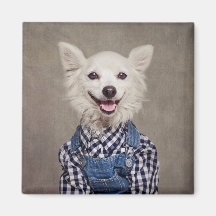 Shelter Pets Project - Tonka