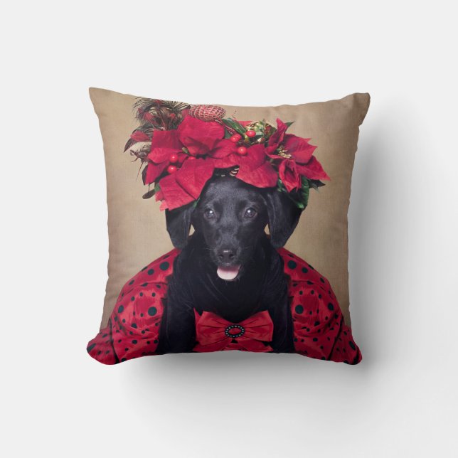 Shelter Pets Project - Twinkle Toes Throw Pillow (Front)